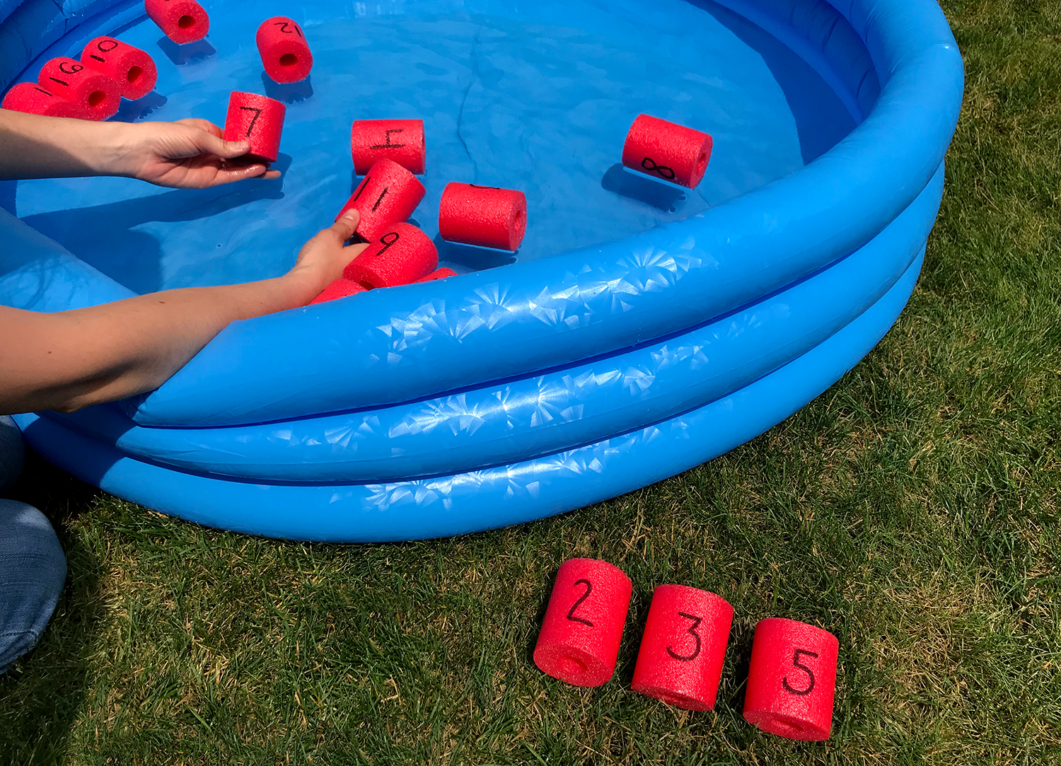 Pool Noodle Number Hunt