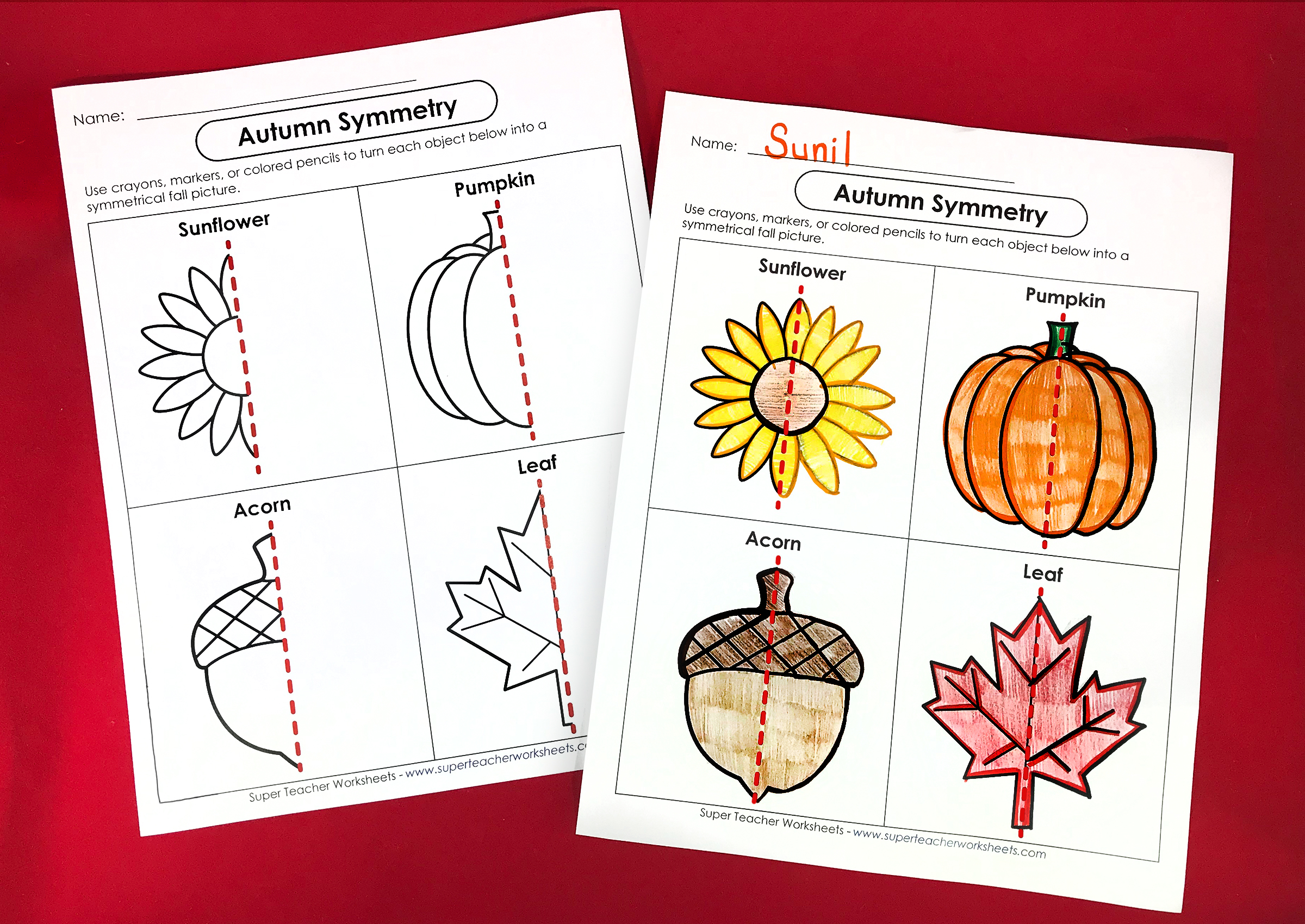 Autumn Symmetry Worksheet